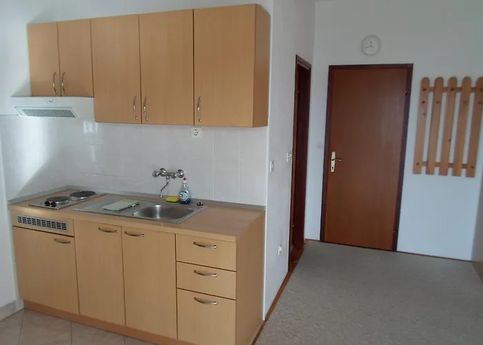 Apartment Branko Nin